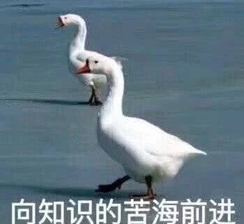 4月一波可爱表情来袭,接住这波可爱搞笑表情表情包心动1可爱比图态图片