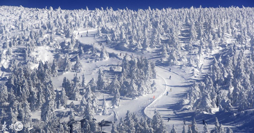 日本山形县藏王温泉滑雪场的雾凇森林冰怪,吸