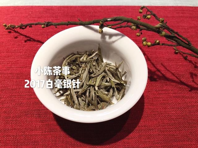 白茶春茶季到了，春茶、头春茶、明前茶、雨前茶,你分清了吗?