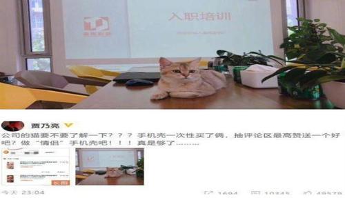 贾乃亮谈与金晨恋情:真的是够了