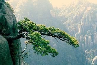又是一年高考季,10首励志古诗祝天下学子长风破浪