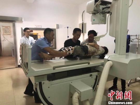 哇!一游客在西双版纳野象保护区遭野象攻击受