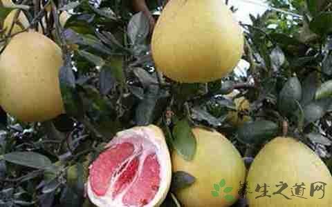 糖尿病吃面条好吗