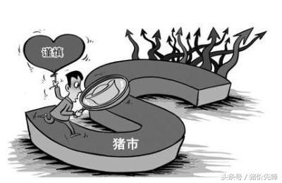 养猪行业前景捉摸不透 节前库存还没完全消耗