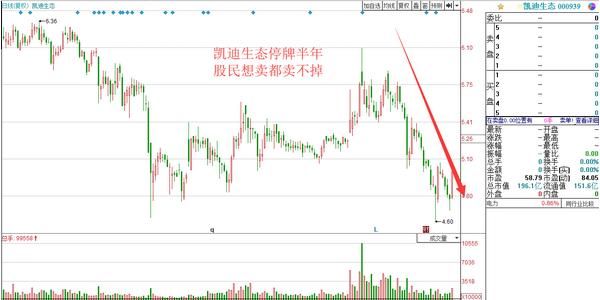 公司欠32亿高利贷，资金链断裂后不给员工发工资，54个亿股票被冻