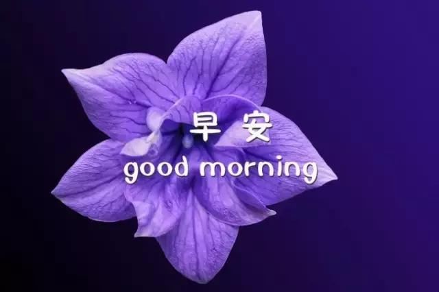 早安问候语大全 早安图片问候语