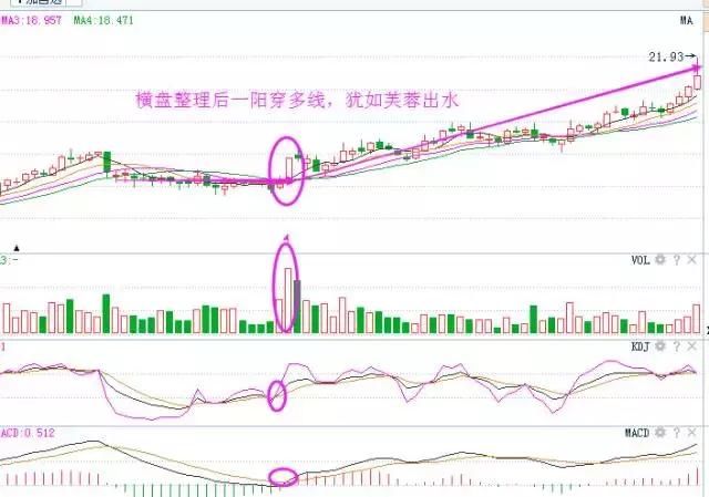 股市大咖喊话：中国股市已进入暴利时代！散户：无耻的笑话！