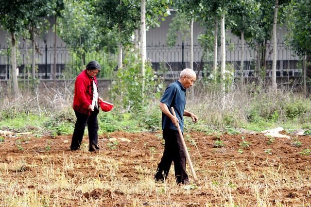 今年起农村开始实行“一户一田”，农民不要担心多的土地被收回