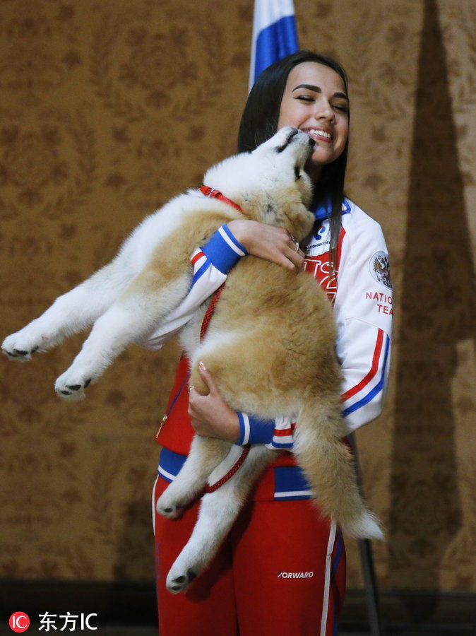 俄罗斯花滑名将扎吉托娃获赠秋田犬 安倍晋三出席赠送仪式