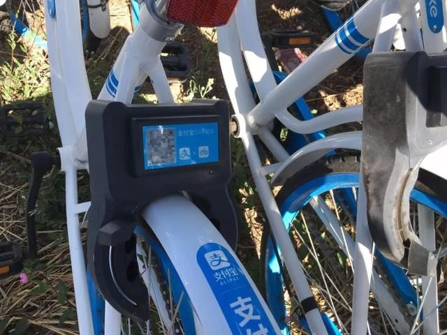 近10000辆全新共享单车停在城郊荒地成废车