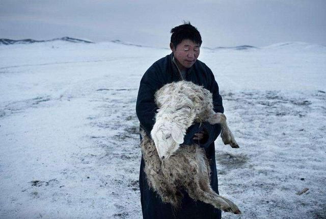 这个国家有75%的面积被沙漠吞噬,为什么不向中国“请教”?