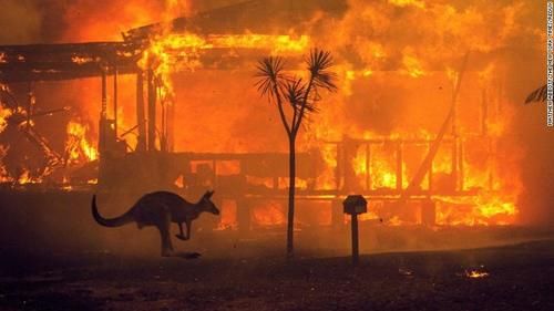 澳大利亚消防救灾现状