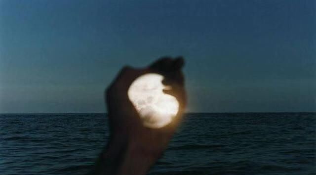 写在2019年的最后一天