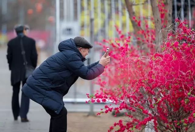 呼市人注意!春节期间这9条消息大家要知道，看到第1条很多人乐了