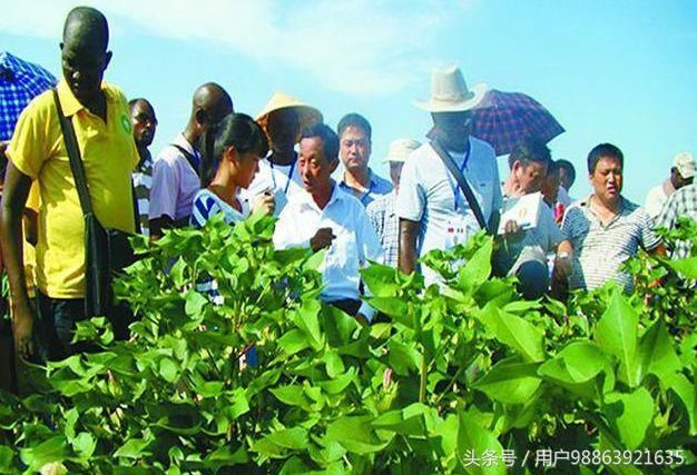 此国得到我国的援助后，经济突飞猛进，警告邻国：若动中国灭了你