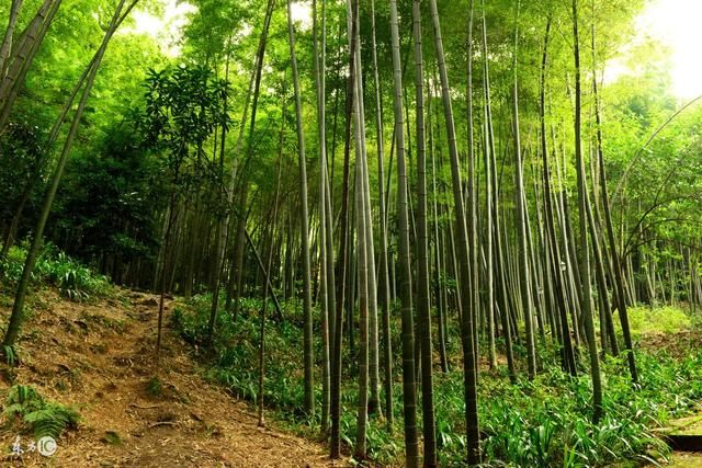 故事:醒王,盘古开天沉睡之王,现在醒在了山上 .