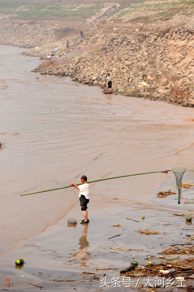 黄河流鱼奇观不再,大叔河边等一天捞了三条鱼,有人却摸起了螃蟹