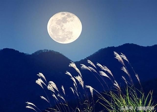 唐诗和宋词借月光有什么感觉？