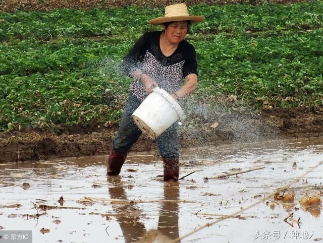 化肥不是越多越好，2018年种地需转变观念！