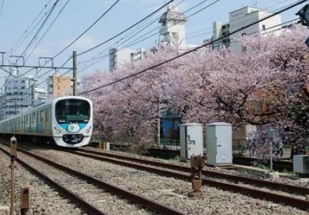 总觉得日本生活多好!其实都是电视机中的 现实生活是这样的!