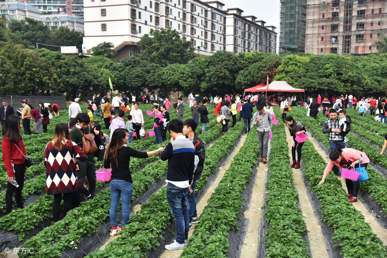 做休闲农业没做到这几点还不如不要干了，反正都不赚钱