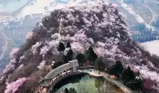 清明踏青赏花何处去？这份赏花地图请收好！