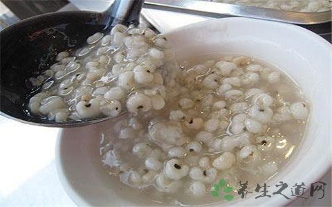 砂仁怎么煮好吃 t01ff08856bed69ee4b.jpg