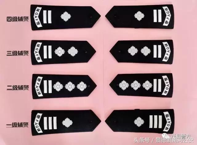 最新辅警肩章,有创意!