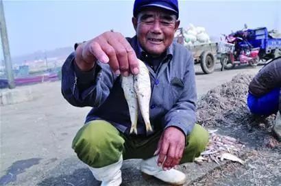 烟台惊现比脸还大的超级海蛎子!一个五斤，或为世界之最!