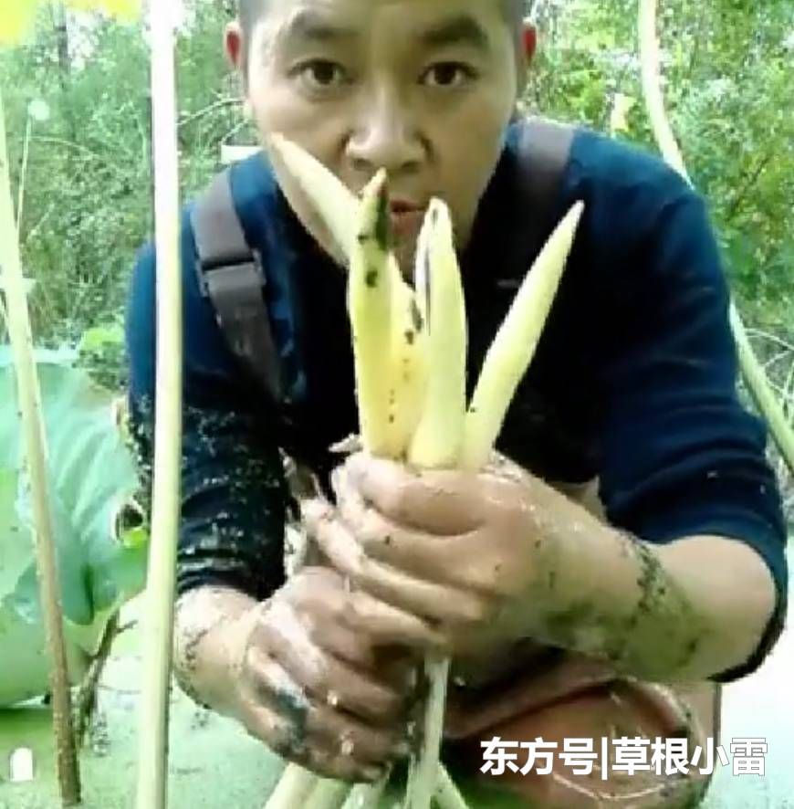 农村小伙每天靠挖“它”日赚几百元，比外出打工强多了！