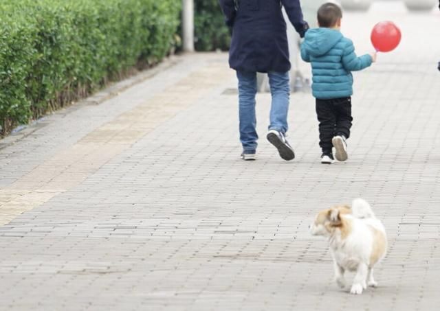 法律对人行为的