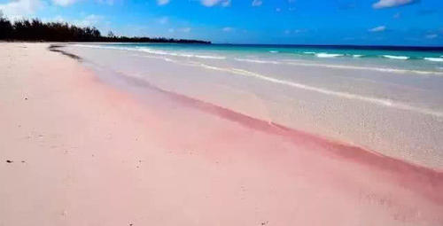 粉色的海滩,带上你的她去浪漫吧