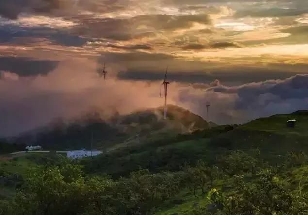 河南这5个地方的野生杜鹃山都染红了天！趁着假期赶紧看花去