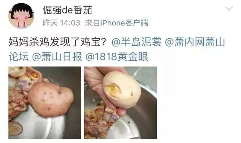 过年杀鸡取出了“鸡宝”，据说价值上千万?你可能想多了!