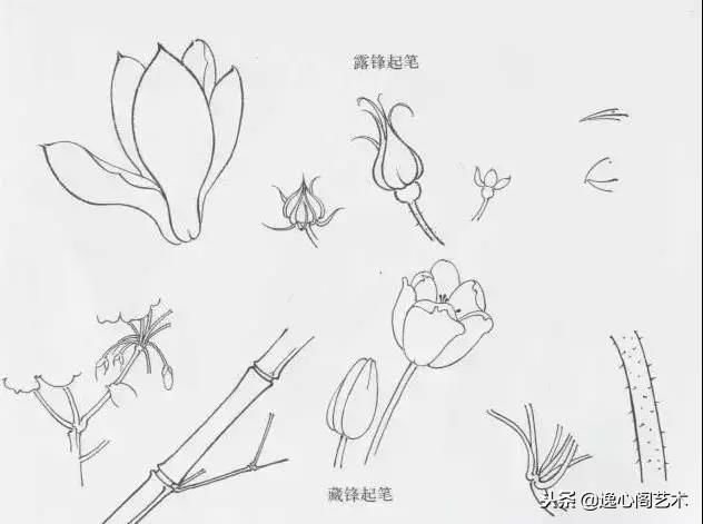 四川省工笔画学会：传统艺术的新活力