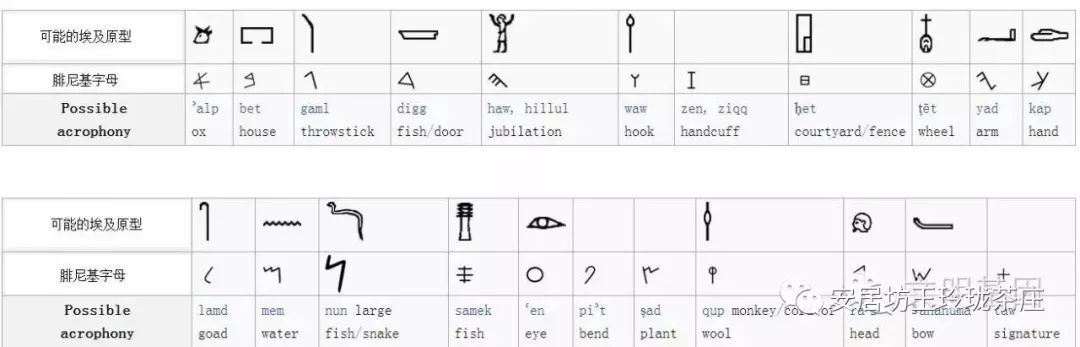 腓尼基字母的演化图片