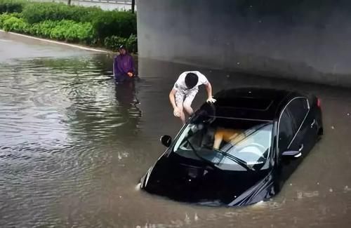 漯河一车主车子被淹找保险理赔,保险公司:要暴雨证!