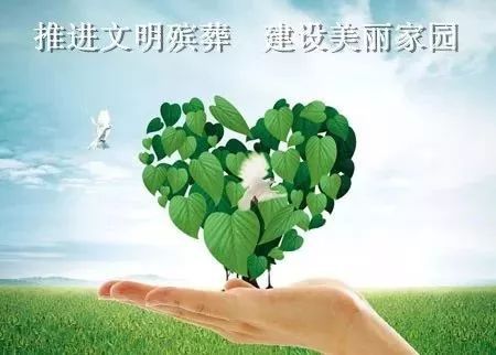 绿色殡葬_绿色殡葬宣传