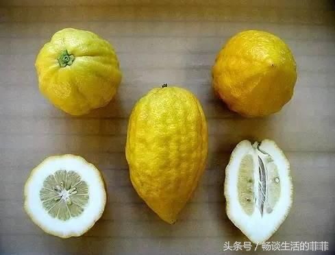 香橼和柠檬有什么区别你知道吗?