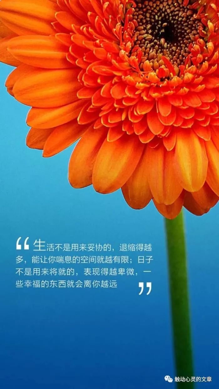 [转] 人生感悟20句:正能量激励人心的句子