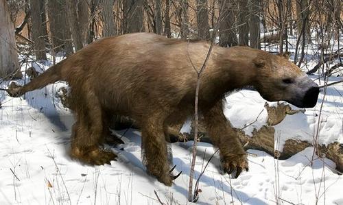 大地懒方舟生存进化大地懒怎么驯服