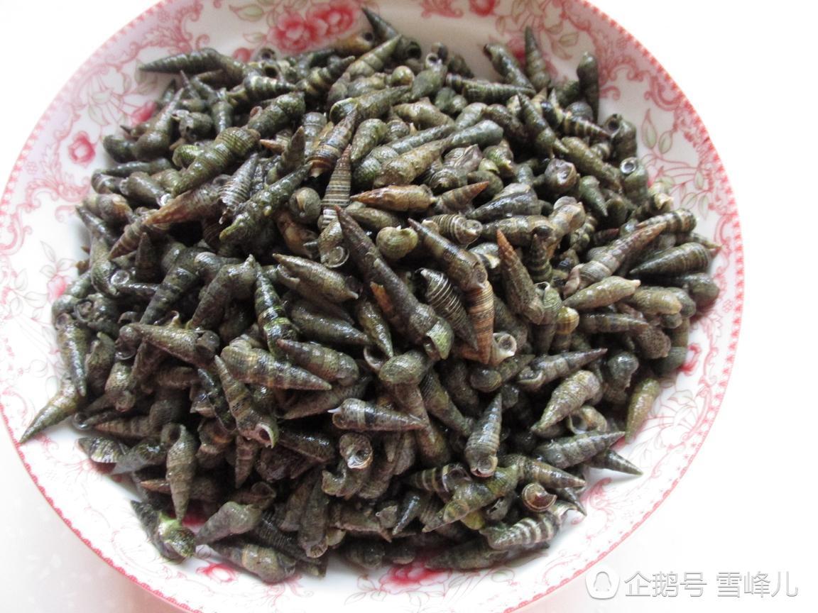 海里的这种螺你吃过吗?只因加了它吃一个就停不下嘴,越吃越上瘾