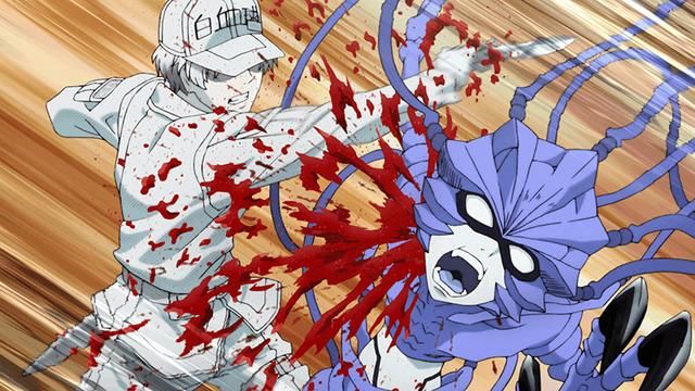 工作细胞动画在线观看工作细胞动漫全集免费