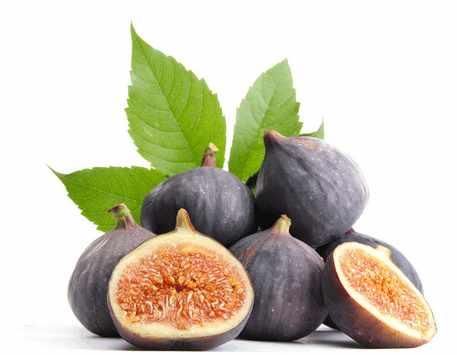 无花果:可治痔疮,脚气的树叶