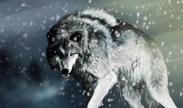 古代有一个民族十分骁勇善战,用狼作图腾,传说民族与狼有关