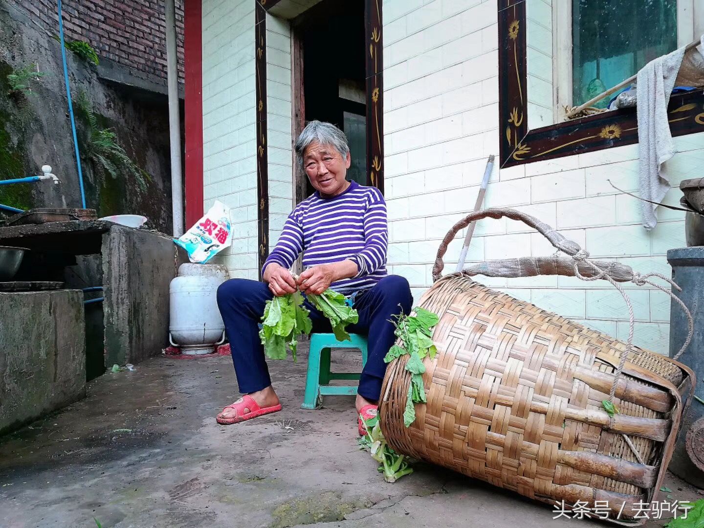 乐山最坚强的老奶奶,独立照顾患病老伴,苦心经营果园